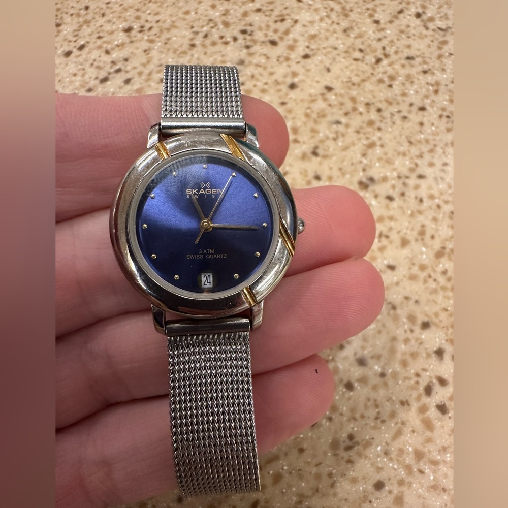 Skagen Blue Dial Silver Mesh Watch